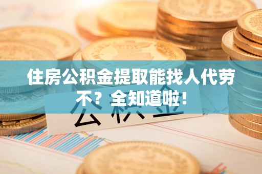 阜阳住房公积金提取能找人代劳不？全知道啦！